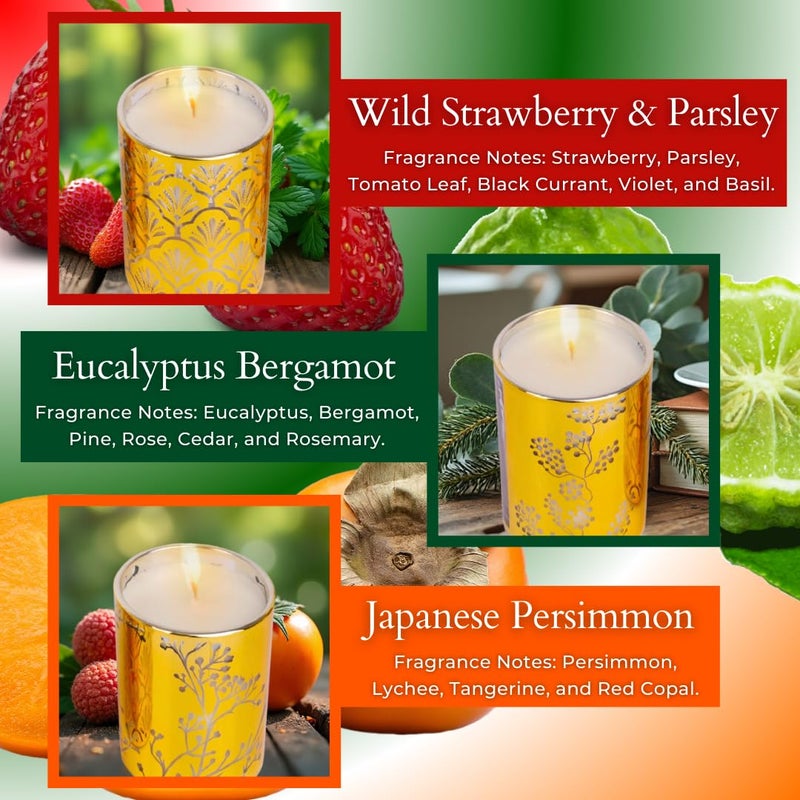 T&H Aromatherapy Candle Gift Set of 3 Scented Candles | Strawberry Parsley, Persimmon, Eucalyptus Bergamot Soy Candles Set, Gold Candle Gifts, Relaxing Aromatherapy Candles Gift Set for Women and Men - Image 2